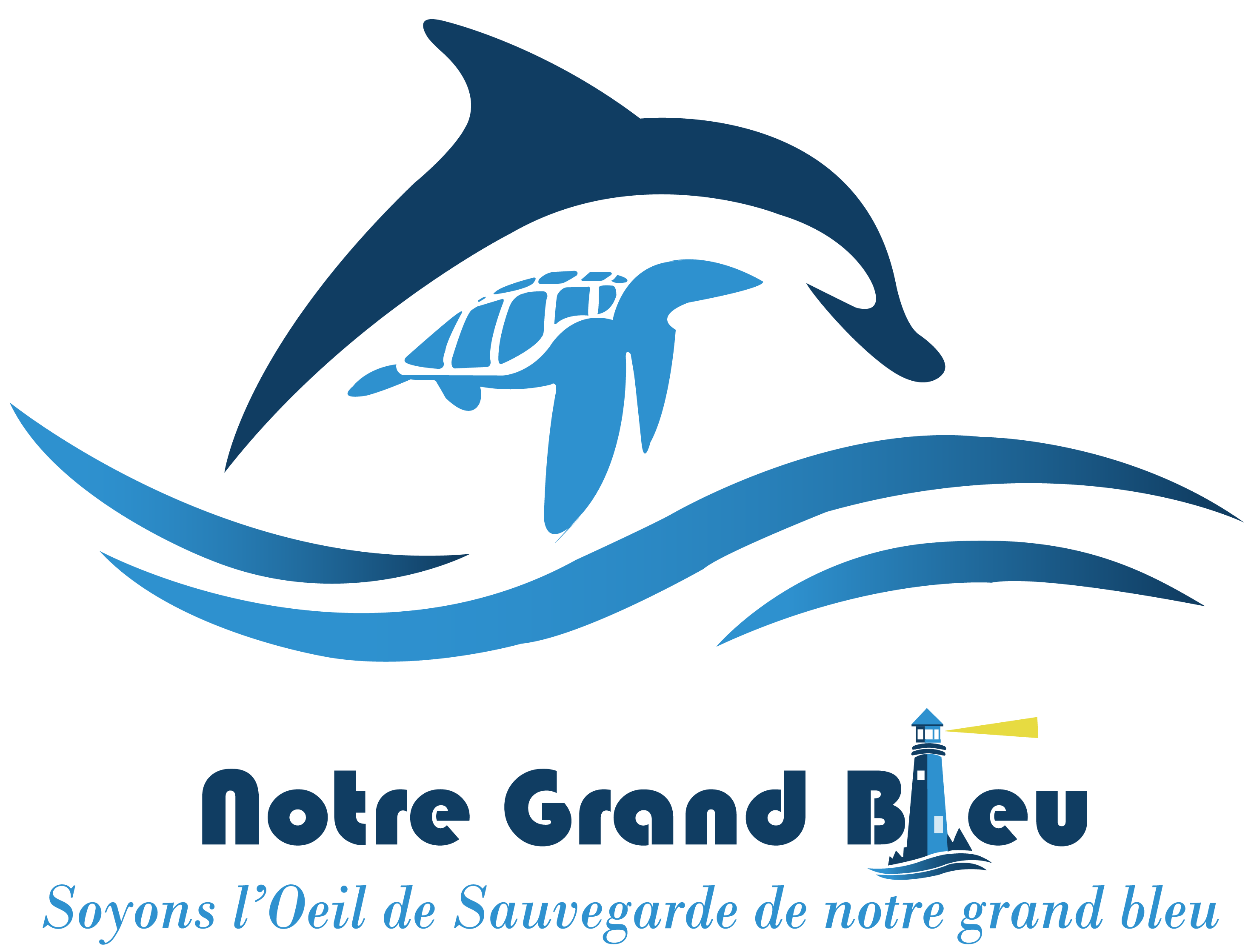 NGB Logo